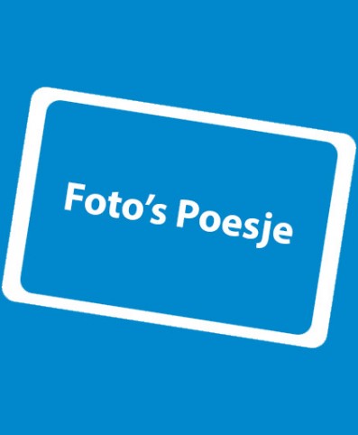kale natte poes hete s kale natte poes hete s