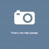 Foto's Poesje