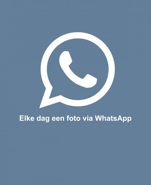 Elke dag een foto via WhatsApp