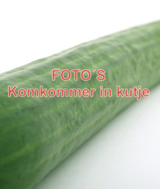 Genomen door een dikke komkommer